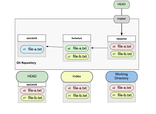 Pro Git - Pro Git Book